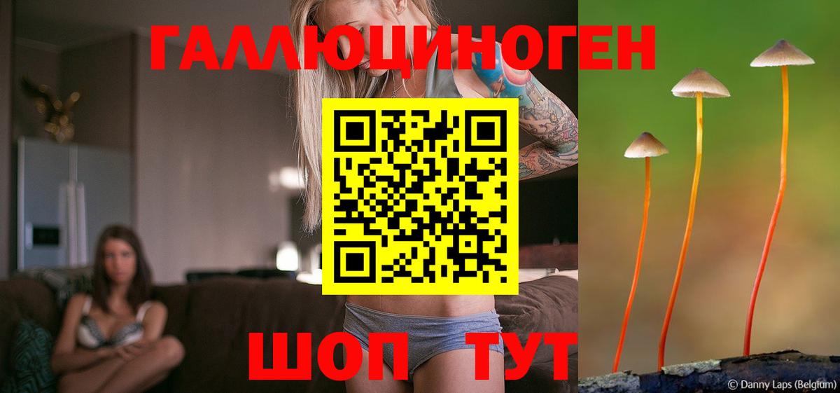 Псилоцибиновые грибы GOLDEN TEACHER Северск